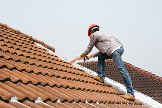 Best Asphalt Shingles Roofing  in Zanesville, OH